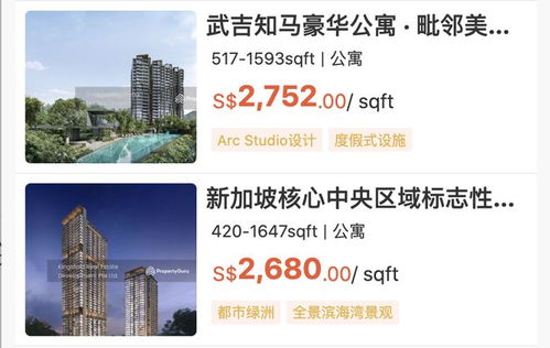 新加坡房產經紀最怕什么 不是市場冷，是中國人搜不到你
